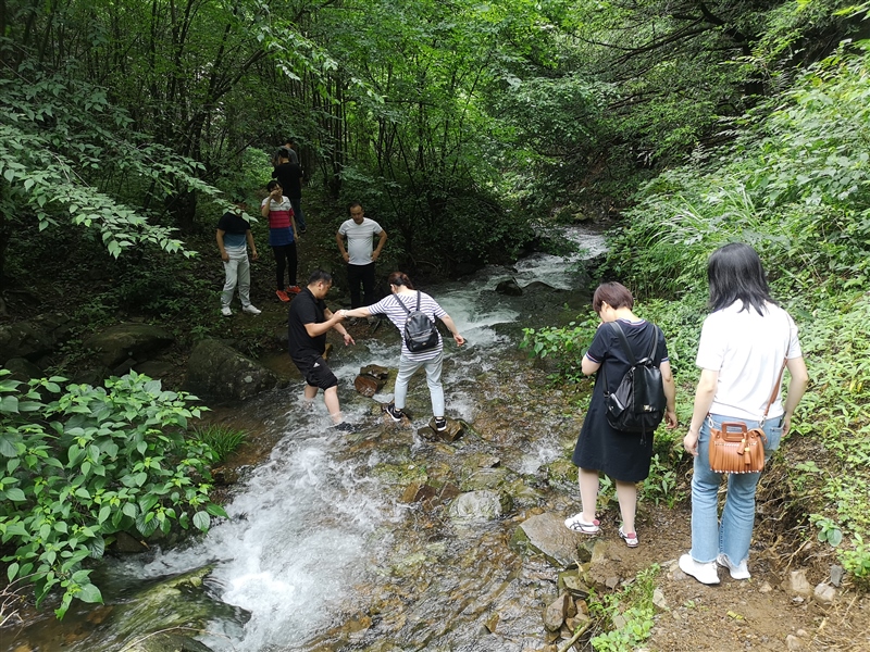 ݅^(q)(gu)YF(tun)_(ki)չcףh98ϵмo(j)(dng)(D5)